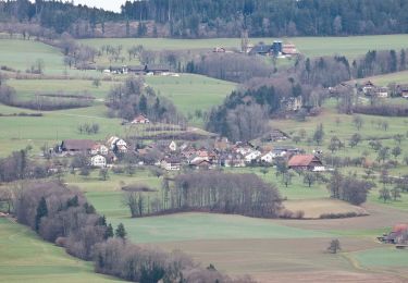 Tocht Te voet Hohenrain - Horben - Lieli - Photo