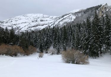 Excursión Senderismo Villard-de-Lans - acqvlans  - Photo