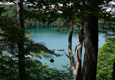 Randonnée Marche Besse-et-Saint-Anastaise - LACS PAVIN ET DE MONTCYNEIRE - Photo