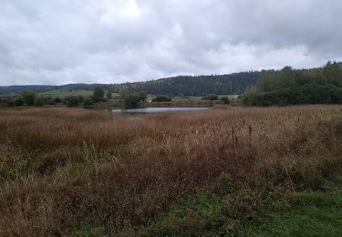 Tour Wandern Labergement-Sainte-Marie - Lac de Remoray - Photo