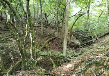 Tour Wandern Loire-sur-Rhône - 69-loire-sur-rhone2-pet-de-loup-18km-560m - Photo