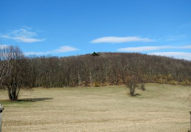 Randonnée A pied Gemeinde Kaltenleutgeben - SISI Rundwanderweg - Photo