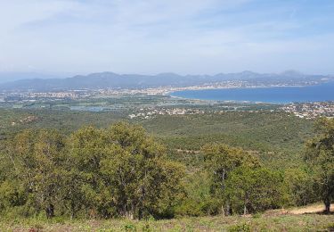 Tocht Stappen Roquebrune-sur-Argens - les petites maures les issambres - Photo