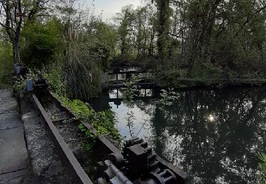 Randonnée Marche Entraigues-sur-la-Sorgue - BALLADE AUTOUR D ENTRAIGUES SUR LA SORGUE , ECLUSES ET CASCADE - Photo