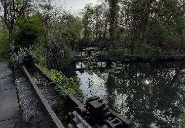 Tour Wandern Entraigues-sur-la-Sorgue - BALLADE AUTOUR D ENTRAIGUES SUR LA SORGUE , ECLUSES ET CASCADE - Photo