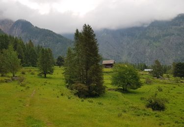 Excursión Senderismo Roure - Mont Autcellier - Photo