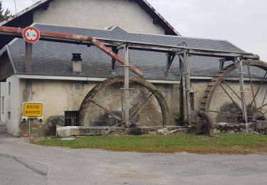 Tocht Lopen Reignier-Ésery - Tour des Rocailles 04-11-2018 - Photo