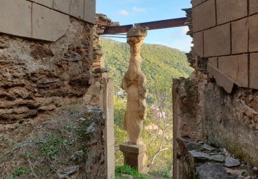 Percorso Marcia Le Lavandou - Cavalière - Photo