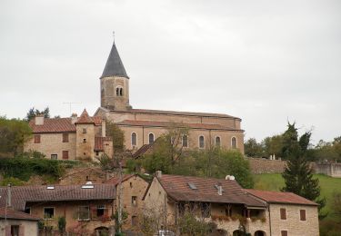 Tocht Te voet Cluny - randonnée autour de Cluny - Photo