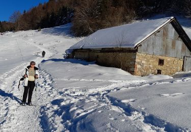 Trail Snowshoes Montcel - REVARD: PETIT TOUR DU PLATEAU EN RAQUETTES - Photo