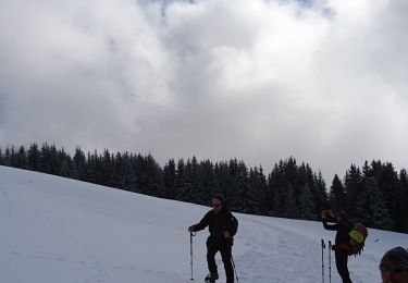 Randonnée Marche Saint-Gervais-les-Bains - randonnée  - Photo