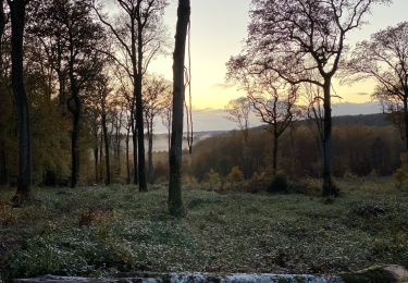 Tocht Stappen Borey - Les patey - Photo