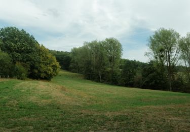 Randonnée A pied Stolberg - Lehmjöres-Weg - Photo