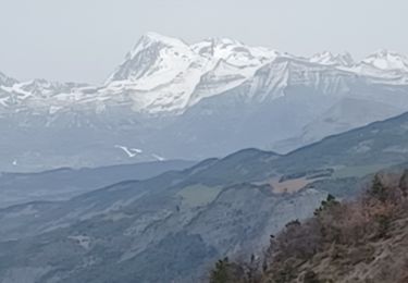 Trail Walking Tallard - TALLARD tête de Boursier o m s  - Photo