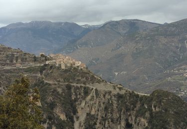 Tour Wandern Bairols - Mont Falourde depuis Bairoldmd - Photo