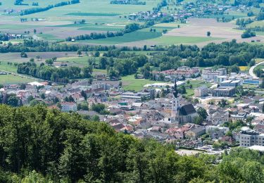 Percorso A piedi Schlierbach - Burg Altpernstein - Photo