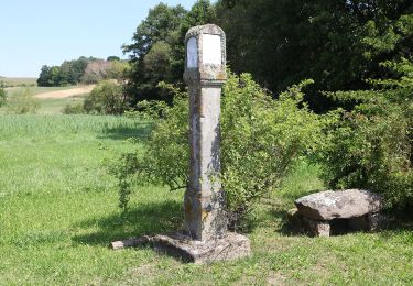 Percorso A piedi Seßlach - Wanderweg Unterelldorf - Photo