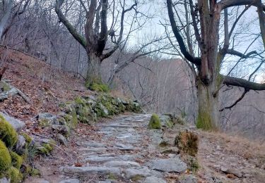 Tour Wandern Montpezat-sous-Bauzon - 07 Montpezat-sous-Bauzon - Plantades-Clastre-St-Roch-Clastre - Photo