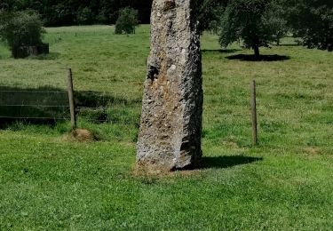 Tour Wandern Durbuy - Les Mégalithes de Wéris  - Photo