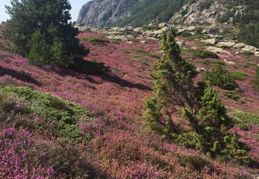 Tour Wandern Rosis - Col de Madale - Col de la Fage - Photo