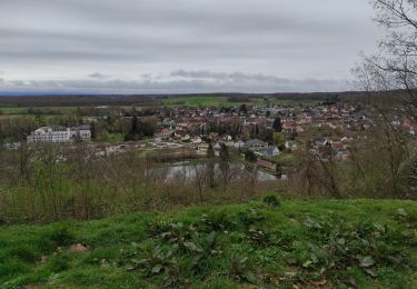 Trail Walking Sentheim - Sentheim  - Photo