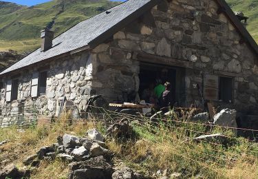 Tocht Te voet Lescun - Col de Pétragème asp53 - Photo