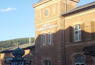 Tour Wandern Schirmeck - Le Donon et Col de Prayé - Photo