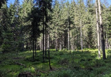 Tour Zu Fuß Czeladna - Stezka paravýsadku Wolfram - Photo