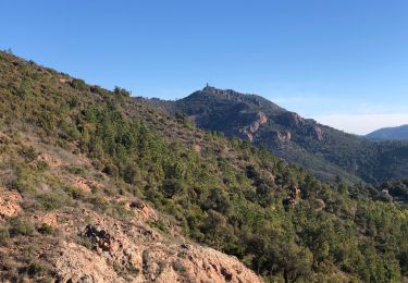 Trail Walking Fréjus - La Louve : Vinaigre 2x - Photo