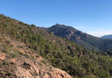 Tocht Stappen Fréjus - La Louve : Vinaigre 2x - Photo