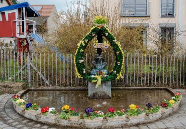 Tour Zu Fuß Priesendorf - Rundweg Priesendorf P 5 - Photo