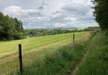 Trail Walking Gesves - Sentiers d’art / Gesves / Boucle 