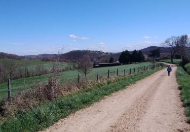 Trail Walking Saint-Marcet - 2021-03-13 Saint Marcet boucle avec tour du chateau - Photo