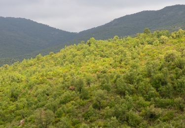 Randonnée Marche Roquebrune-sur-Argens - Col du Bougnon - Les Rollands - Photo