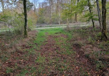 Randonnée Marche Vouthon-Haut - jusqu'au camp américain  - Photo