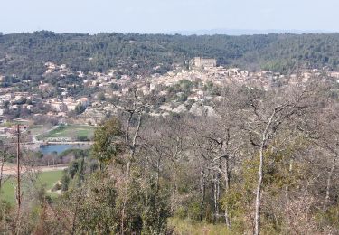 Trail Walking Gréoux-les-Bains - Les Antennes par les Tronnes  - Photo