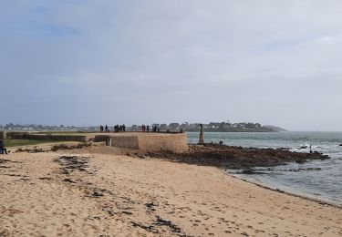 Trail Walking Locmariaquer - PR_56_Locmariaquer_AA_01_Entre-Golfe-Et-Ocean_Circuit1b_20220217 - Photo