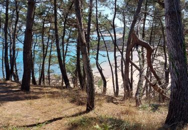 Randonnée Marche Erquy - LES PLAGES SAUVAGES A ERQUY - Photo