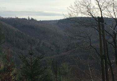 Trail Walking Aywaille - Havelange Adeps 2020 - Photo