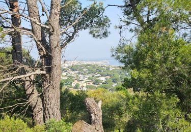 Tocht Stappen l'Escala - Tour Riells Montgo - Photo
