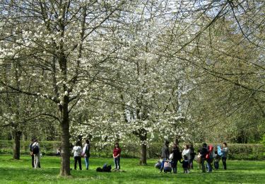 Excursión A pie Antony - Les secrets du Parc de Sceaux - Photo