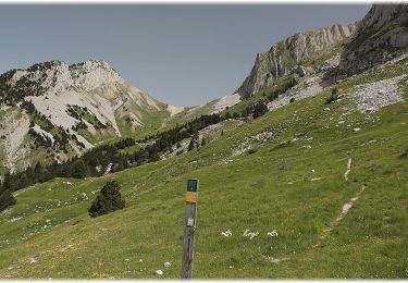 Tocht Stappen Glandage - 2022-06-24_19h10m37_Le Jocou par crêtes des  Amousières 10km.gpx.xml - Photo