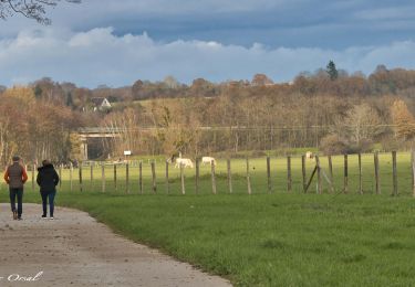 Randonnée Marche Nogent-le-Rotrou - Nogent-le-Rotrou - Saint-Pierre-la-Bruyère 5,5 km - Photo