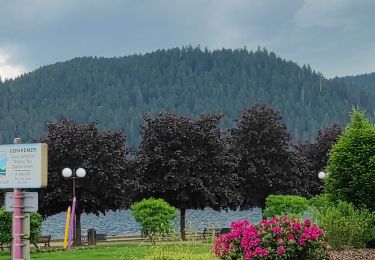 Randonnée Marche Gérardmer - tour du lac de Gérardmer  - Photo