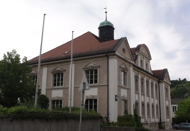 Randonnée A pied Ihrlerstein - Ortswanderweg Ihrlerstein - Photo