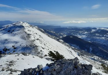 Tour Schneeschuhwandern Gréolières - Greolieres - Photo