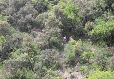 Excursión Senderismo Murs - PF-Murs - Véroncle, un ravin et des moulins - Photo