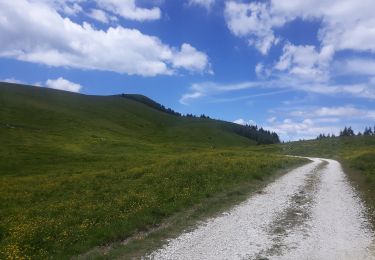 Randonnée A pied Bosco Chiesanuova - Pissarotta ponte SP 15 - San Giorgio - Photo