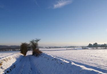 Percorso A piedi Holzwickede - (U) Rundweg Unna - Photo