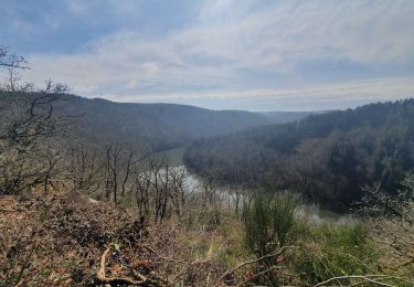 Tour Wandern Hohenfels - rando nadrin 14-04-2022 - Photo